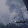 小w小y