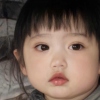 蚂蚁的小腿
