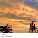 爱吃竹子的大熊猫