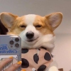马杰杰