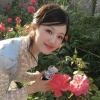 出走小羊