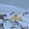 沄眀ze