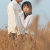 洪杨