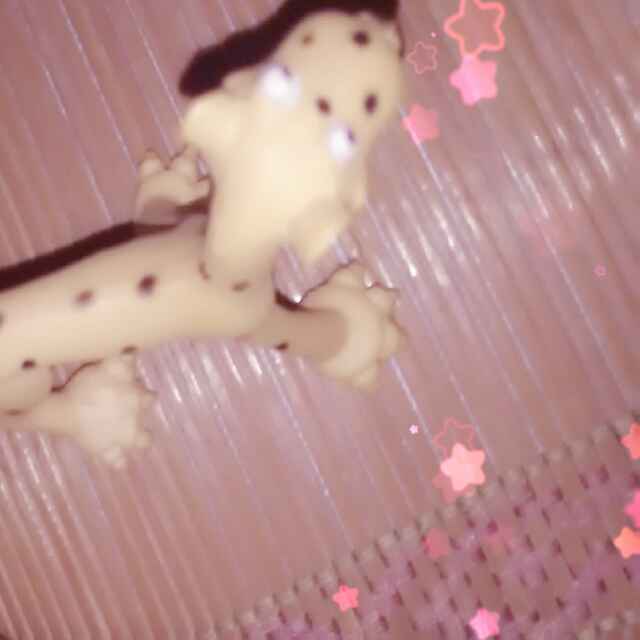 赵老么