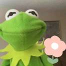 大蒙