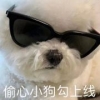 皮恰叟