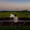 AGphoto