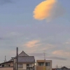 阿巴阿巴