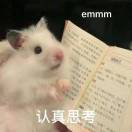 薛涛笺.