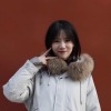 呆羊