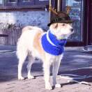 次.光