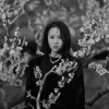 行走故事