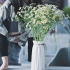 山下梅子酒椰