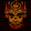 年年是只猫