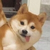 想开点_多吃点_