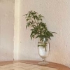 _yoarbol