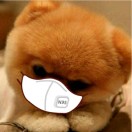 ［无］