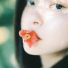 酸奶盖子儿x