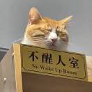 仲冬十七