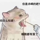 海绵宝宝