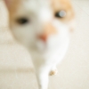 万长