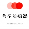 鱼不语