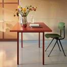 石膏男孩的執念：迷路麋鹿的羅宋湯