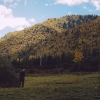 an_X