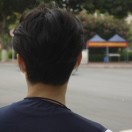 学宫的猫
