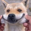 呜啦啦啦唔