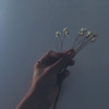 一朵小花