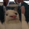 女朋友拍的