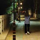 月光下的夜明猪