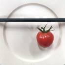 许纪樾