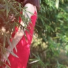 是陌公子