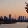 悠然夏