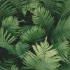Nesnci