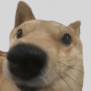 还我蔚蓝