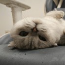 慢慢悠悠