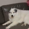 爹狠疲惫