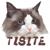 TISITE