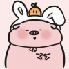 一枝猪