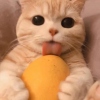 ChrisG