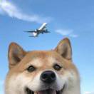寒