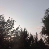 CROWS