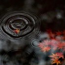 琳琳