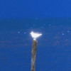 烨湘伦