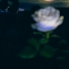 小林先森