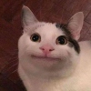 CUI