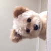 我上厕所时不急～